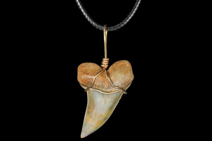 Fossil Mako Tooth Necklace - Bakersfield, California #130871